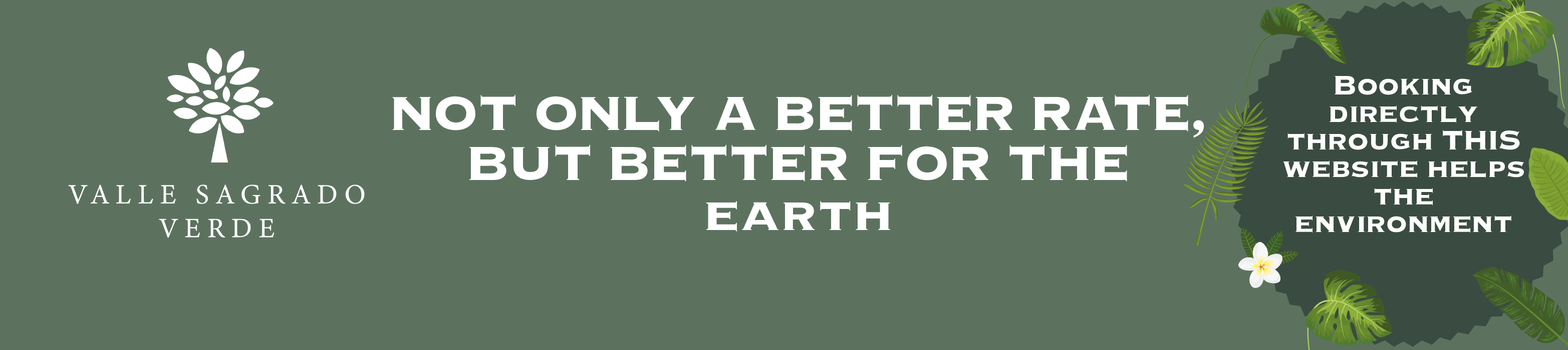 SLOGAN PARA WEB_Mesa de trabajo 1 copia